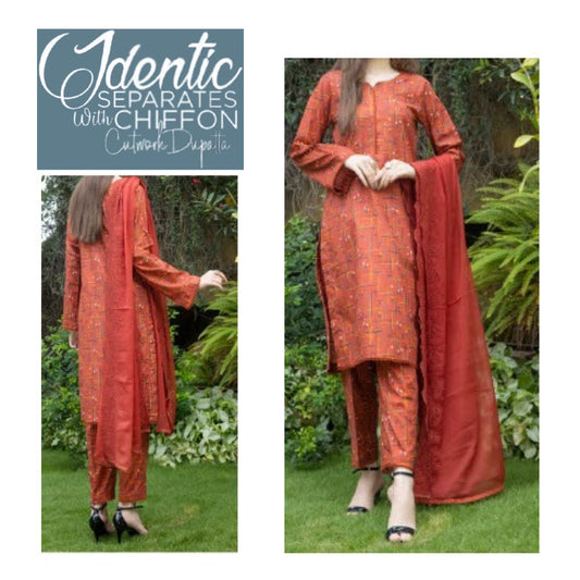 Identic Chiffon Cutwork Dupatta (1364-011) Regalia