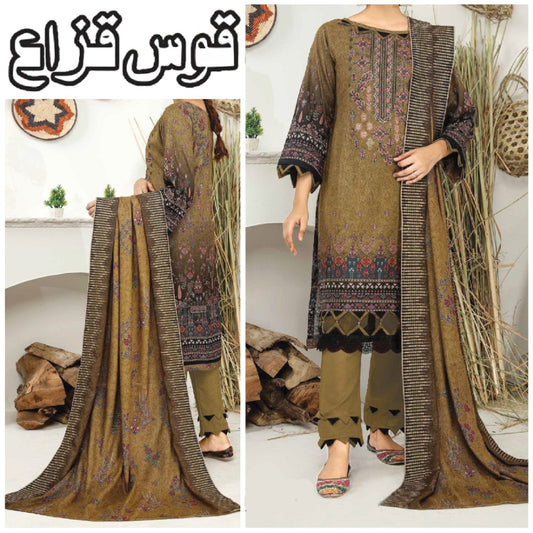 Kaus-e-Qazah Embroidered Cutwork Shawl (1618-009)